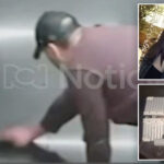 video-appears-to-show-stalker-doctor-wiping-blood-from-where-model-was-murdered,-stuffed-in-suitcase