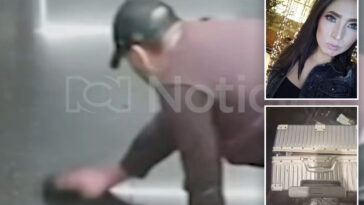 video-appears-to-show-stalker-doctor-wiping-blood-from-where-model-was-murdered,-stuffed-in-suitcase