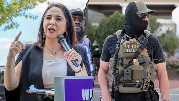 ‘squad’-democrat-slammed-by-trump-admin-for-most-‘radical’-plan-targeting-ice-yet