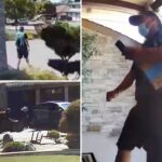 thief-in-amazon-delivery-disguise-cases-house-before-bringing-back-friends-to-rob-it
