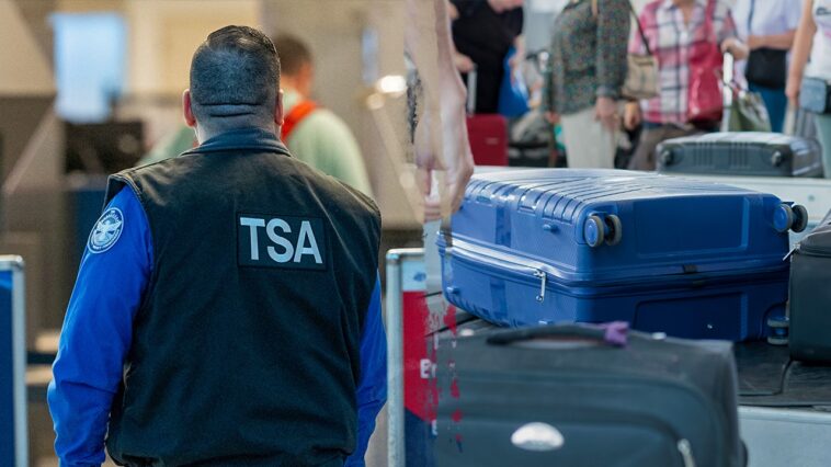 airport-x-ray-reveals-shocking-illegal-stash-concealed-beside-passenger’s-xbox