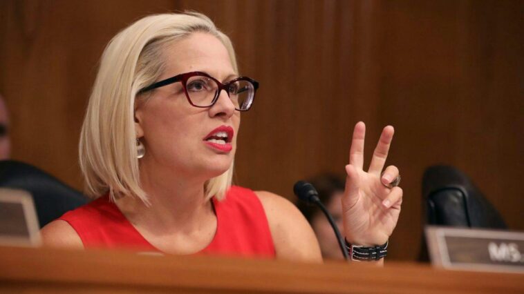 kyrsten-sinema’s-ex-bodyguard-gave-her-an-ultimatum-then-her-paintings-ended-up-in-the-pool.