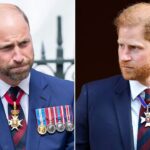 fox-news-entertainment-newsletter:-william-won’t-repeat-charles’-jealousy;-harry’s-push-sparks-‘contradiction’