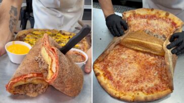 junk-food-monstrosity-inspires-shock-and-awe:-‘that-is-obnoxious’