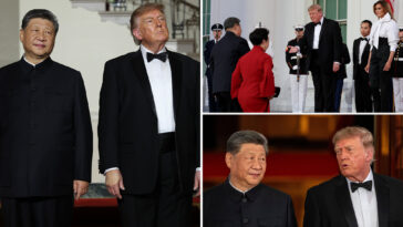 trump-‘wasn’t-trying-to-dominate’-at-state-dinner-with-xi,-as-body-language-expert notes-‘sign-of-respect’