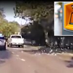 bizarre-moment-accused-atm-thief-throws-thousands-of-dollars-in-cash-from-car-during-police-chase