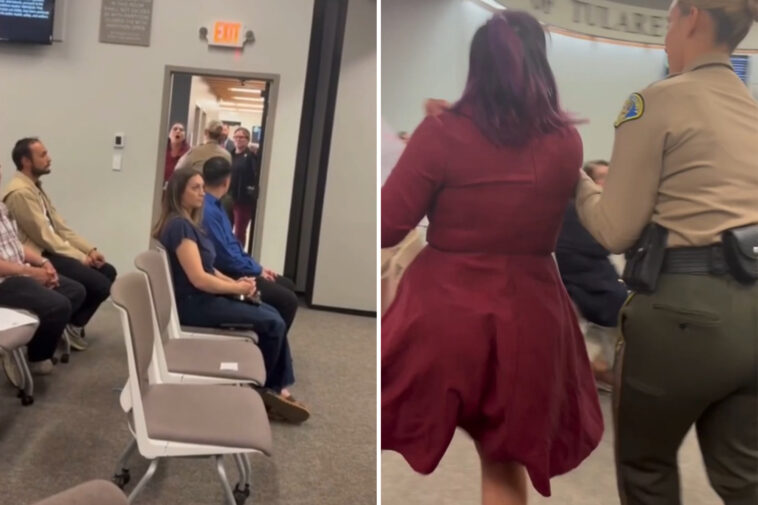 wild-moment-cop-drags-woman-out-of-california-county-meeting-after-furious-clash-over-data-centers