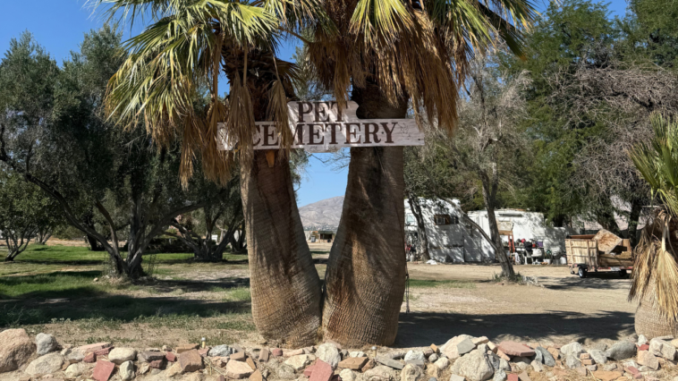 hidden-california-desert-pet-cemetery-holds-unexpected-piece-of-white-house-history