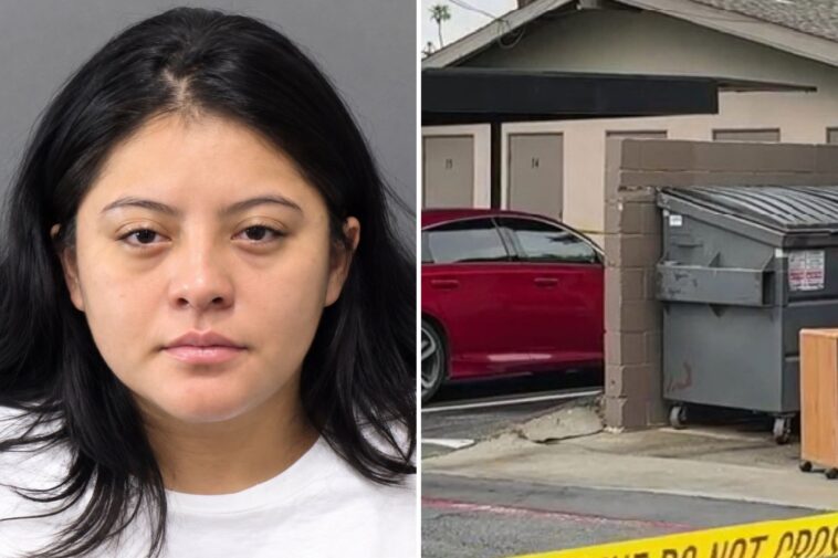 evil-mother-accused-of-abandoning-baby-inside-dumpster-revealed-after-year-long-investigation