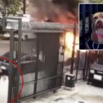 hero-stranger-rescues-helpless-dog-chained-to-skid-row-van-after-it’s-set-on-fire