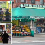 homeless-nyc-nutjob-slashes-rival-with-box-cutter,-spilling-his-intestines:-court-docs