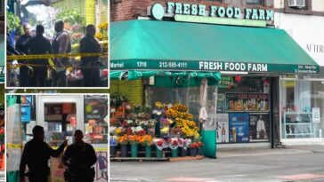 homeless-nyc-nutjob-slashes-rival-with-box-cutter,-spilling-his-intestines:-court-docs
