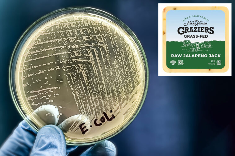 e.-coli-outbreak-tied-to-raw-milk-cheese-hits-california-with-multiple-cases