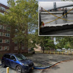 nyc-man-killed-from-falling-tree-as-nor’easter-bears-down-tri-state-with-extreme-wind-gusts