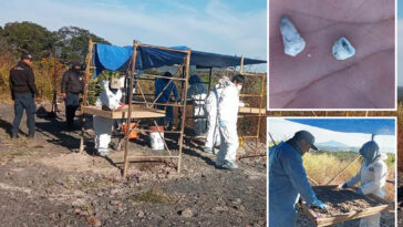 1,600-baby-teeth-found-at-mass-grave-site-in-mexico-as-officials-deny-knowledge