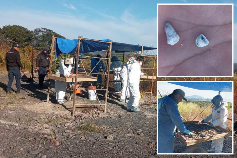 1,600-baby-teeth-found-at-mass-grave-site-in-mexico-as-officials-deny-knowledge