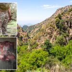 blood-soaked-california-poachers-arrested-after-cops-make-horrifying-discovery