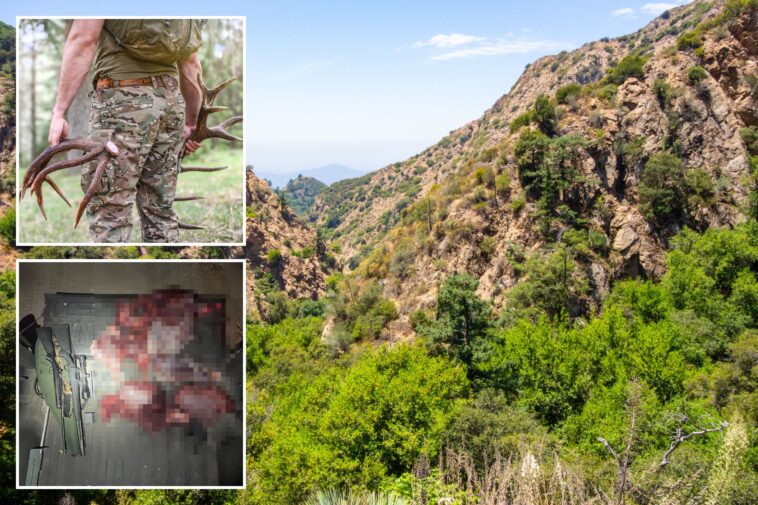 blood-soaked-california-poachers-arrested-after-cops-make-horrifying-discovery