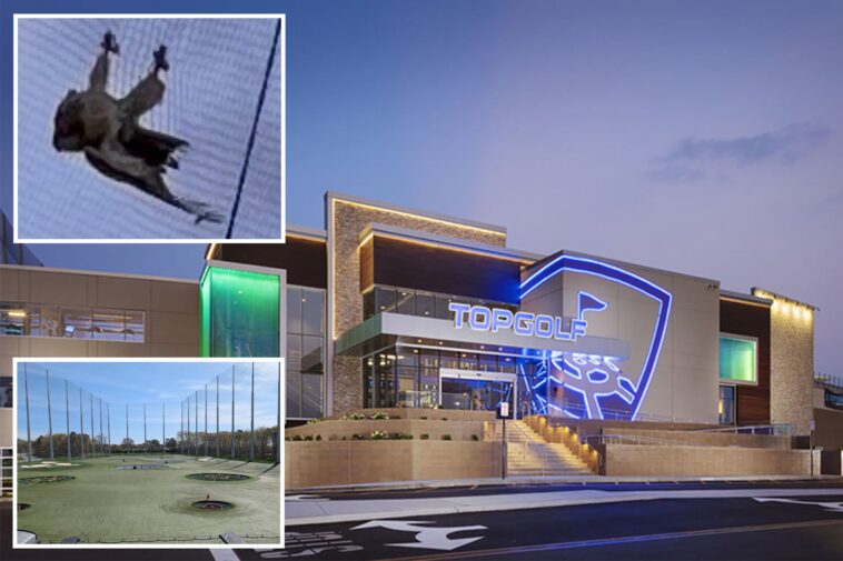 towering-topgolf-nets-are-killing-birds,-animal-activists-allege-in-scathing-lawsuit