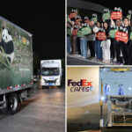 2-giant-pandas-set-off-to-atlanta-zoo-from-china-after-xi-trump-summit