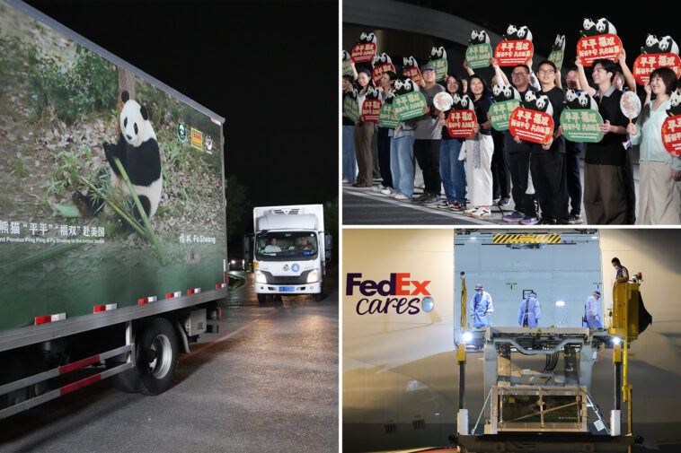 2-giant-pandas-set-off-to-atlanta-zoo-from-china-after-xi-trump-summit