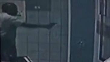 maintenance-worker-opens-fire-at-los-angeles-senior-center,-three-injured,-shooting-caught-on-surveillance-camera-(video)