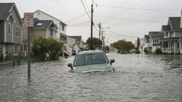 powerful-northeast-storm-kills-at-least-one,-knocks-out-power-to-100,000