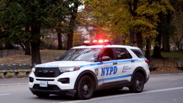 woman-with-multiple-stab-wounds-found-dead-in-gazebo-by-central-park-boathouse