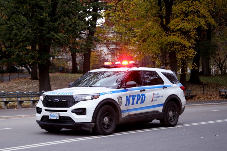 woman-with-multiple-stab-wounds-found-dead-in-gazebo-by-central-park-boathouse
