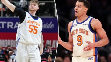 knicks-sign-familiar-names-to-round-out-training-camp-roster