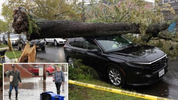 round-2-of-nyc’s-nor’easter-hits-after-tree-falls-on-two-young-kids-and-leaves-surreal-scenes:-‘worst-it’s-been-since-sandy’