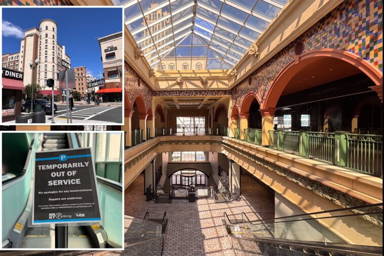 monstrous-ny-shopping-mall-that-aimed-to-spark-troubled-downtown-devolves-into-bane-of-dem-run-city