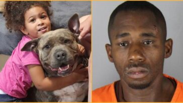 horrific:-minnesota-mother-brutally-attacked-with-hammer-inside-her-own-home-—-brave-pit-bull-stops-suspect-from-reaching-sleeping-children