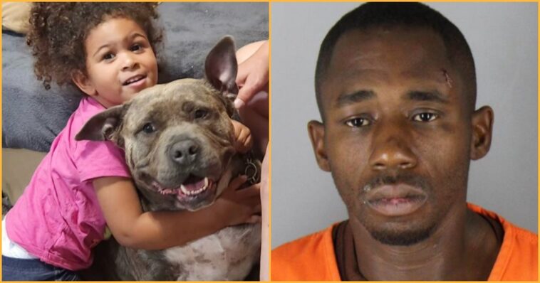 horrific:-minnesota-mother-brutally-attacked-with-hammer-inside-her-own-home-—-brave-pit-bull-stops-suspect-from-reaching-sleeping-children