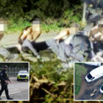 farmer-who-foiled-suspected-iran-terror-plot-on-uk-base-blasts-security-—-and-fears-several-terrorists-still-free