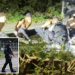 five-men-arrested-over-suspected-bomb-plot-at-uk-base-are-all-british-nationals:-police