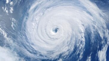 former-climate-reporter:-my-industry-protected-the-climate-change-narrative-by-killing-positive-news-stories