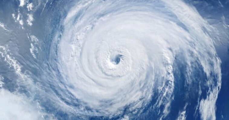 former-climate-reporter:-my-industry-protected-the-climate-change-narrative-by-killing-positive-news-stories