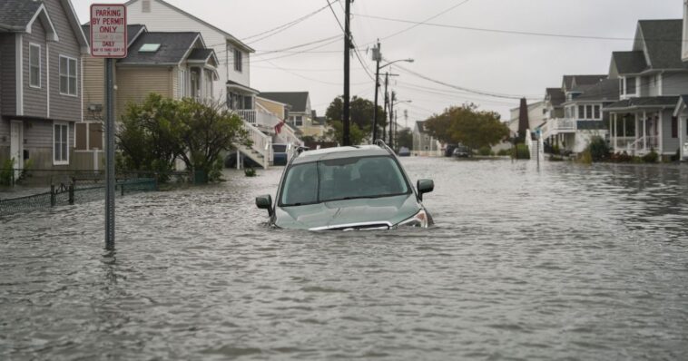 watch:-shark-seen-swimming-through-the-streets-of-new-jersey-as-nor’easter-brings-chaos