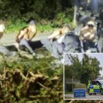 alleged-terror-plot-at-us-air-base-in-uk-takes-bizarre-twist-—-as-suspects-are-released-on-bail