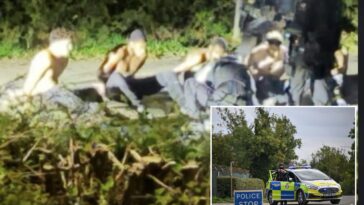 alleged-terror-plot-at-us-air-base-in-uk-takes-bizarre-twist-—-as-suspects-are-released-on-bail