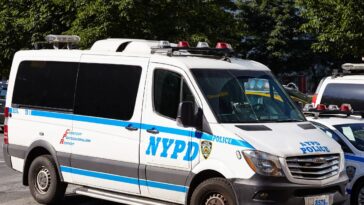 homeless-man-arrested-in-brutal-murder-of-a-63-year-old-woman-in-central-park