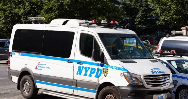 homeless-man-arrested-in-brutal-murder-of-a-63-year-old-woman-in-central-park