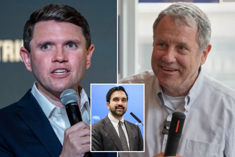 mamdani-allies-hosting-fundraiser-for-dem-senate-hopefuls-james-talarico,-sherrod-brown