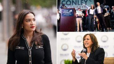 aoc-gets-cold-shoulder-from-moderate-dems-in-tough-races:-‘it’s-about-winning’