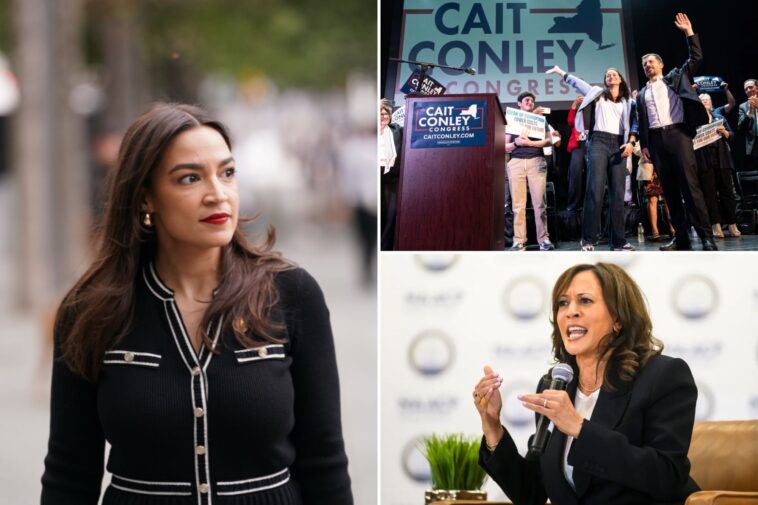 aoc-gets-cold-shoulder-from-moderate-dems-in-tough-races:-‘it’s-about-winning’