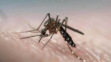 the-‘wildly-unusual’-deadly-outbreak-spreading-across-the-us.