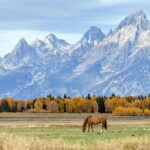 take-me-out-to-the-national-park?-mlb-explores-an-unusual-venue