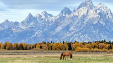 take-me-out-to-the-national-park?-mlb-explores-an-unusual-venue