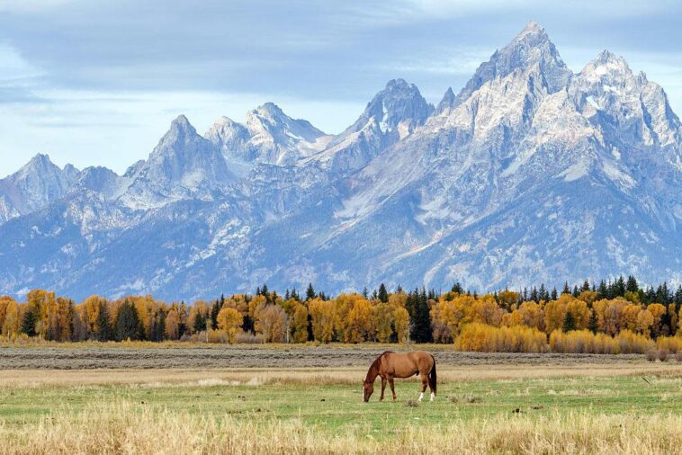 take-me-out-to-the-national-park?-mlb-explores-an-unusual-venue